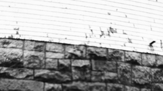 Concerts - Stephen Wilson Jr.