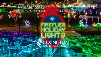 Holiday - Fireflies Holiday Lights at Segra Park