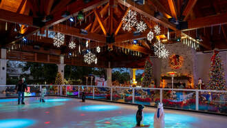 Community - Ice Skating at the Charleston Harbor Resort and Marina 