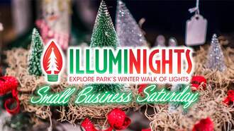 Holiday - Small Business Saturday at the Illuminights Artisan Market