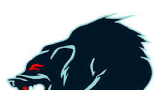 Sports - Anchorage Wolverines Hockey