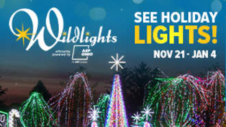 Community - Wildlights at the Columbus Zoo