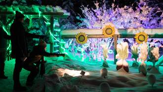 Holiday - Brighter Winter Nights