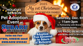 Station Events - Meet Mindy at Subaru of Melbourne for the Share the Love Pet event on 12/6