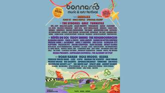 Bonnaroo Music & Arts Festival 