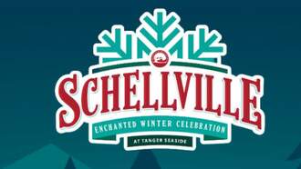 Holiday - Schellville Christmas Village 
