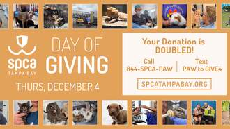 SPCA Tampa Bay Day of Giving