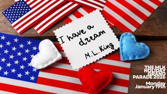 THE JACKSONVILLE MLK HOLIDAY GRAND PARADE 2026