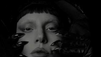 Concerts - Lady Gaga