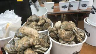 Community - Lowcountry Oyster Festival 2026
