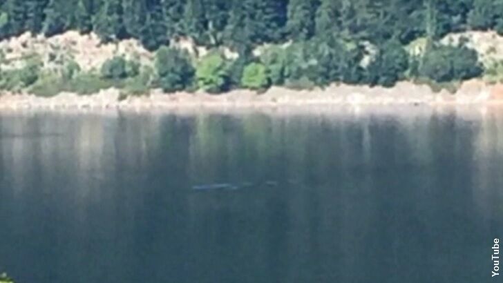 Loch Ness Monster Photographed by Vacationer?