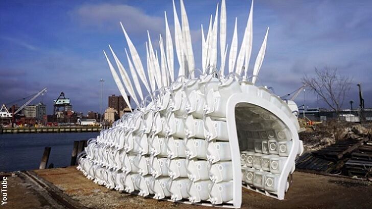 Could Bizarre Cricket Farm Solve World Hunger?