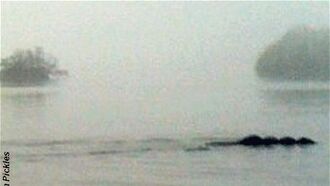England's Nessie Photographed