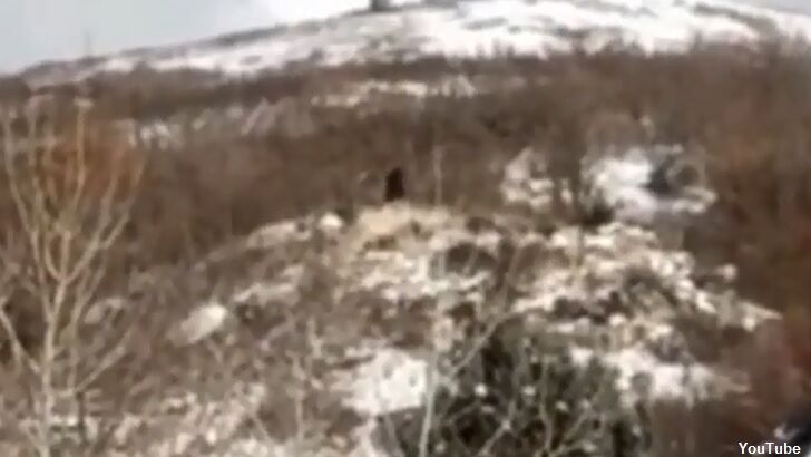 Watch: Sasquatch Spotted in Utah?