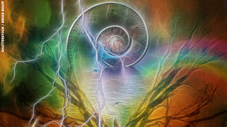 Past Life Regression / Energy Healing