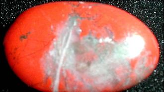 Shelley Kaehr Material