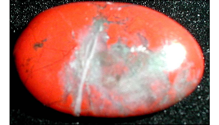 Shelley Kaehr Material