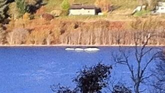 New Nessie Sighting?