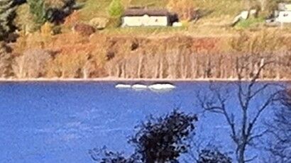 New Nessie Sighting?