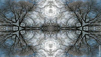 Numerology/ Psychedelics & Consciousness