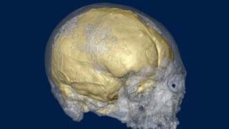 Knapp's News 3/21/10