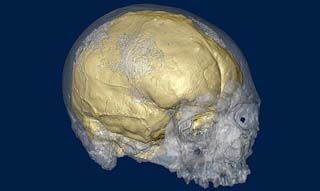 Knapp's News 3/21/10