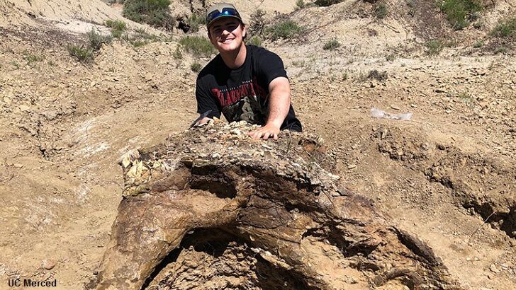 College Student Discovers Massive Triceratops Skull in North Dakota