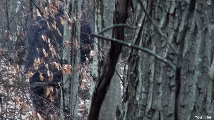 Watch: Bigfoot Filmed in Ohio?