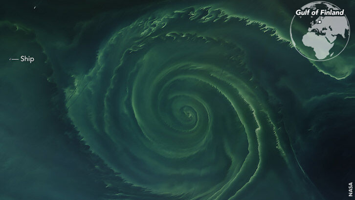 Algae Bloom 'Whirlpool' Appears in Baltic Sea