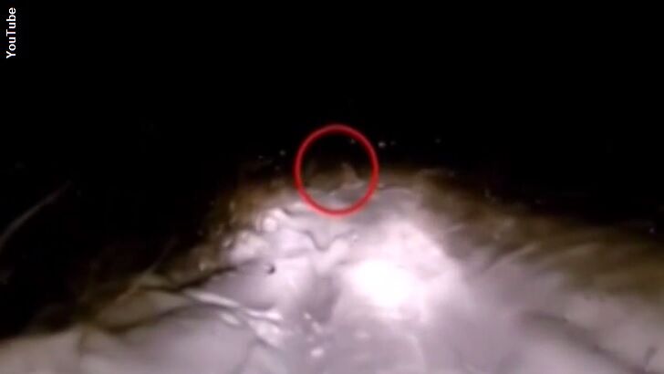 Watch: Yeti Filmed by Russian Dashcam?