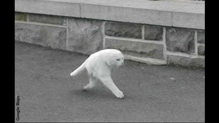 The Breathtakingly Weird Errors of Google Maps