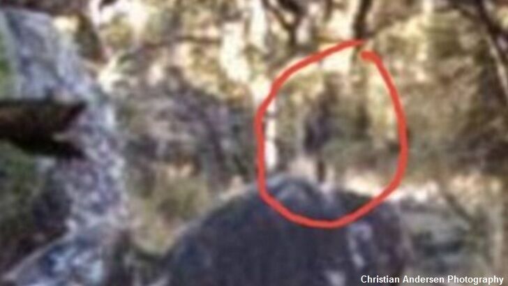 Hiker in Australia Takes Photograph of a Yowie?