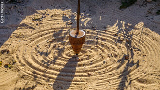 Predatory Capitalism/ Dowsing & Clearing