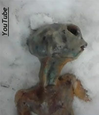 Video of Alien Body?