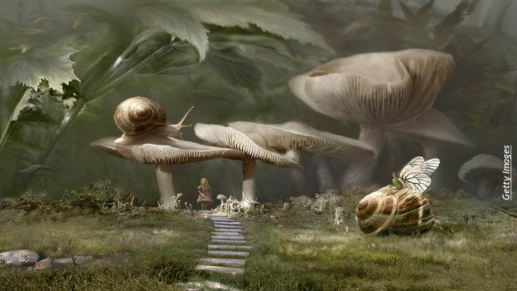 Alternative Health/ Fairies & Changelings