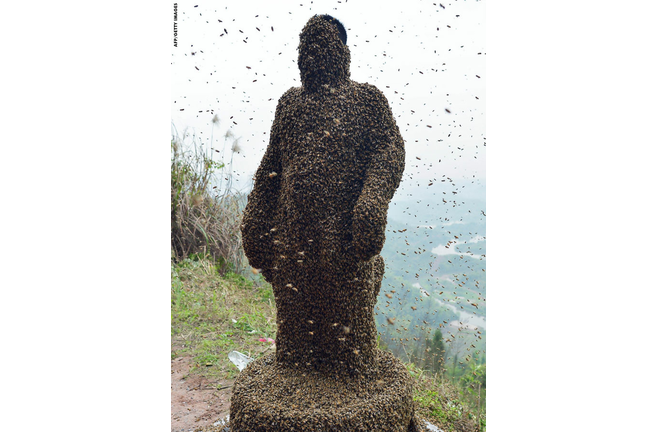 Man Covers Himself with 460,000 Bees