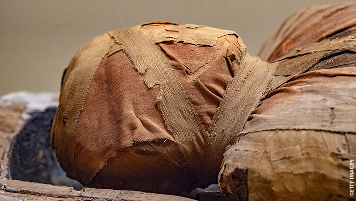 50 Mummies Found at Ancient Egyptian Burial Site