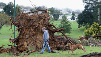 Cyclone Winds Hit New Zealand