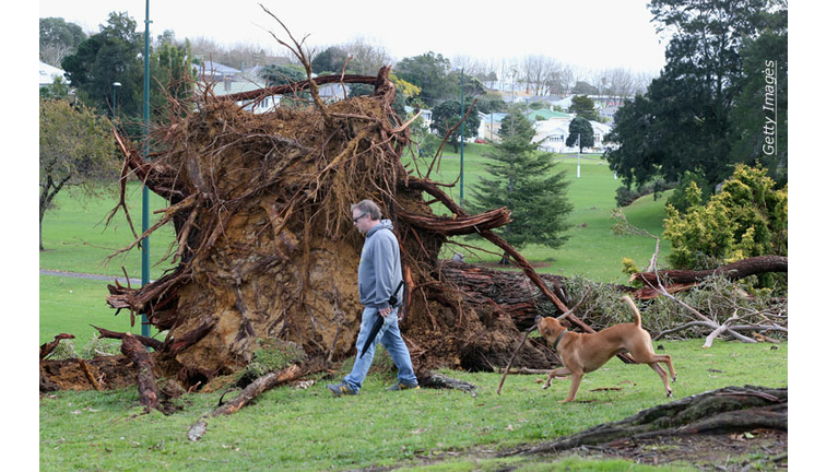 Cyclone Winds Hit New Zealand