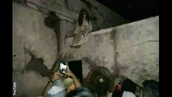 Banshee Photographed in India?