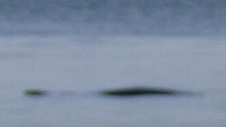 The Next Nessie?