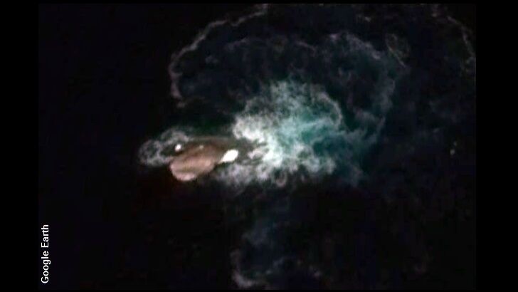 Massive Sea Creature Spotted on Google Earth?