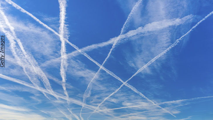 Bioweapons & Viruses/ Genetic Engineering