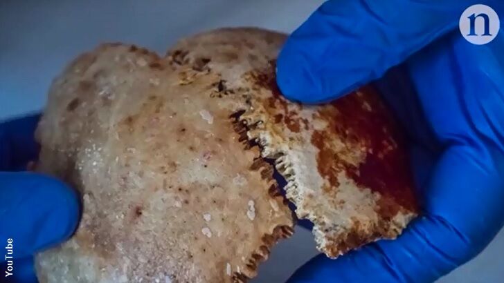 Ancient Skeleton Found at Antikythera Shipwreck