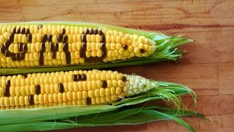 GMO Labeling Bill Fails in CO