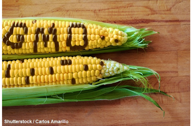 GMO Labeling Bill Fails in CO
