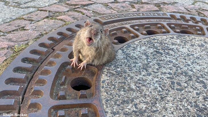 19 of the Weirdest Stories from 2019