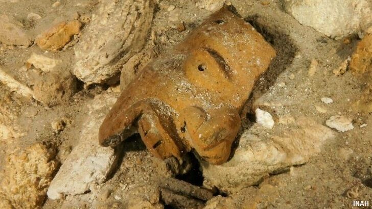 Mayan Relics & Ancient Animal Remains Found in Underwater Cave