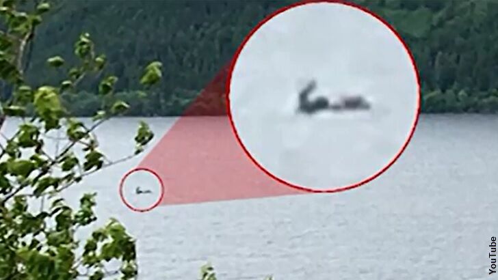 Tourists Snap Photo of Nessie?