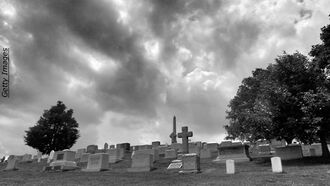 Entity Attack / Open Lines